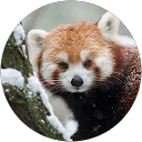 Chris K. profile picture